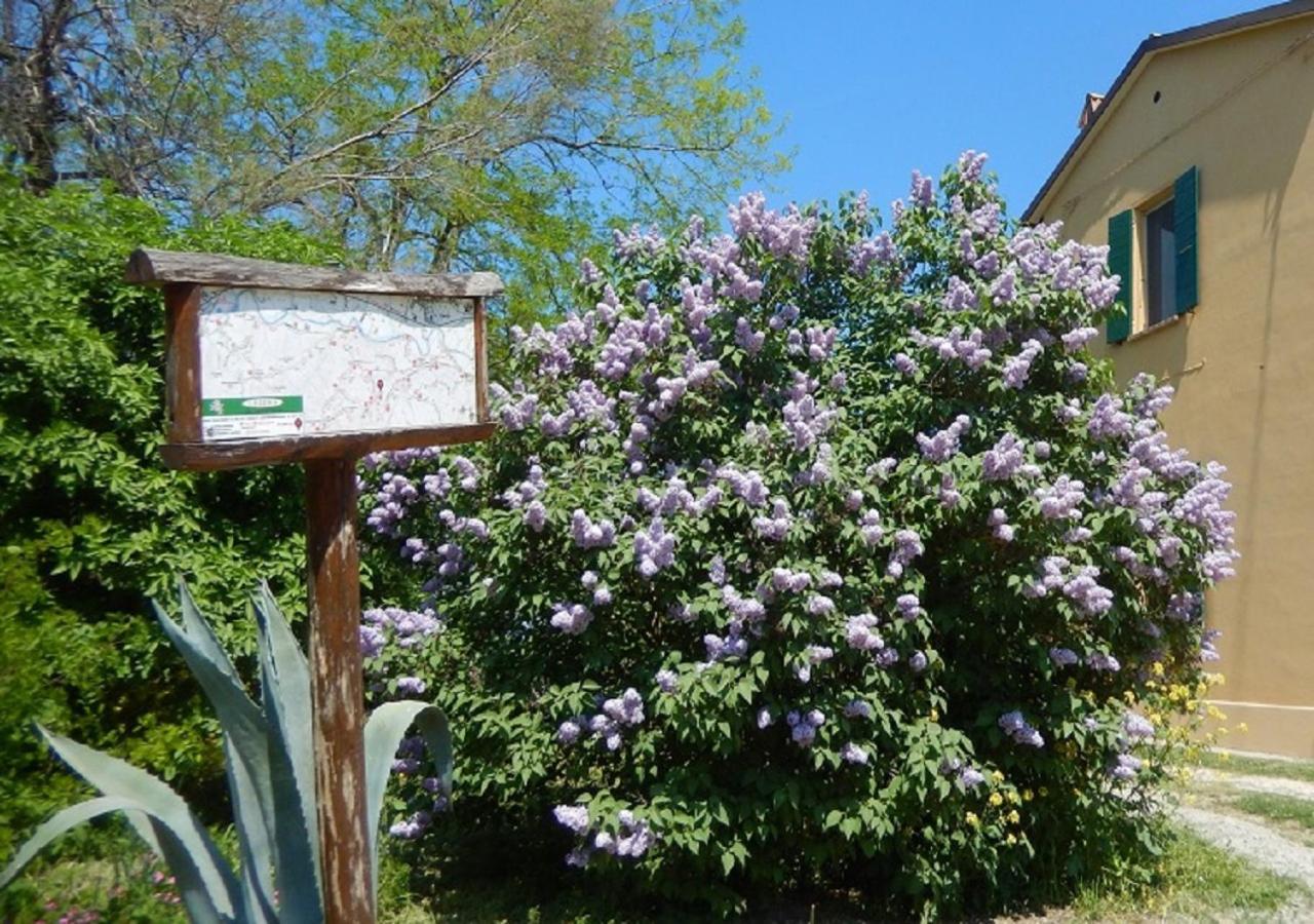 Casa Delle Ginestre Cesena Exterior foto